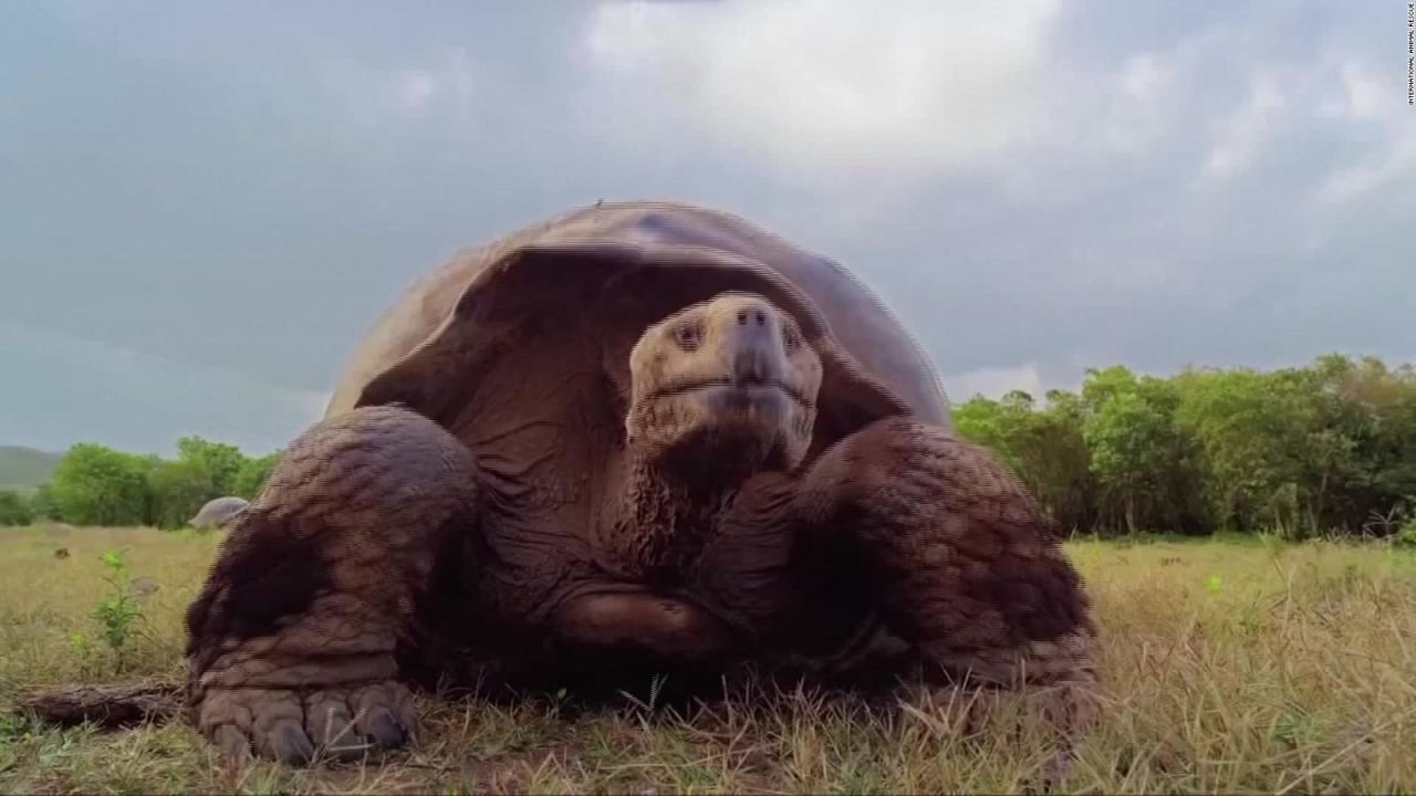 CNNE 646383 - informe del impacto del ser humano a la naturaleza