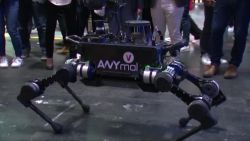 CNNE 650437 - vivatech- robots, futbol mental y otras innovaciones en paris