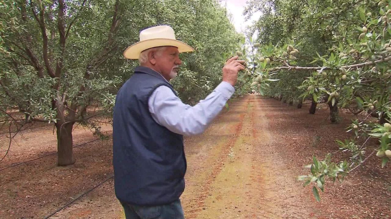 CNNE 650823 - agricultores en ee-uu-  sienten el duelo comercial con china