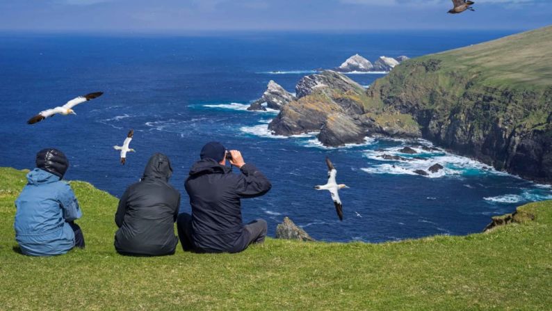 Shetland, Escocia: Los visitantes de estas islas remotas pueden sumergirse en la naturaleza. Las Islas Shetland son conocidas por sus increíbles aves marinas, que incluyen alcatraces y gaviotas, como en la foto.