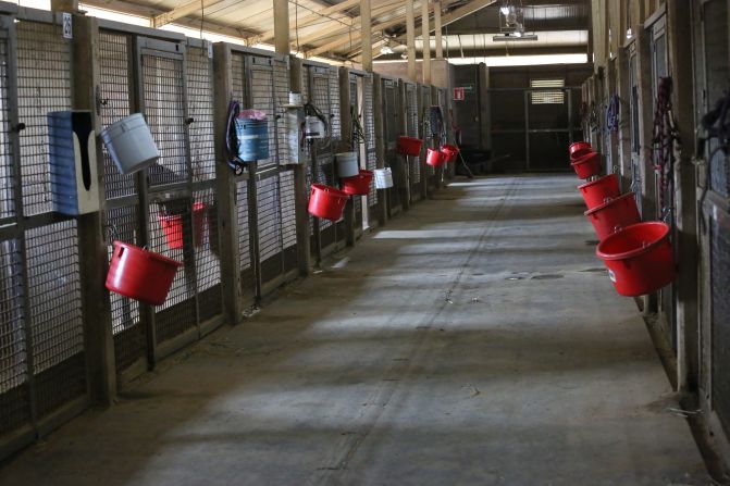 Interior de una caballeriza del Hipódromo de las Américas