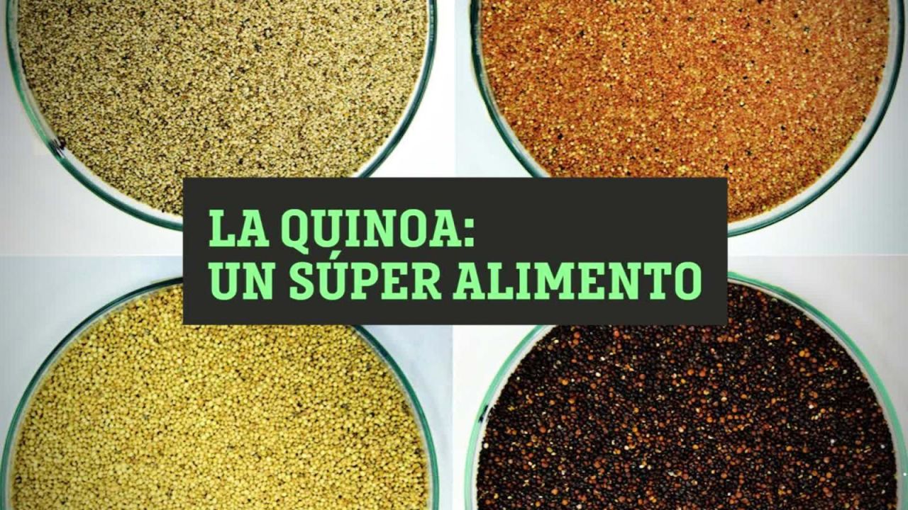 CNNE 653799 - ¿quinoa por arroz? si, gracias