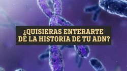 CNNE 654250 - estas pruebas pueden revelarte posibles enfermedades geneticas