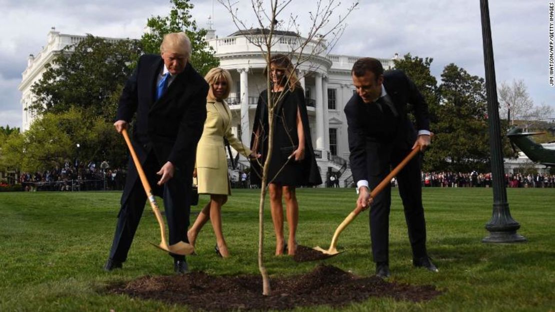 US President Donald Trump and French President Emmanuel Macron plant a tree watched by Trump's wfe Melania and Macron's wife Brigitte on the grounds of the White House April 23, 2018 in Washington,DC. - The tree, a gift from French President Macron, comes from Belleau Woods, near the Marne River in France, where in June 1918 US forces suffered 9,777 casualties, including 1,811 killed in the Belleau Wood battle during World War I. (Photo by JIM WATSON / AFP)