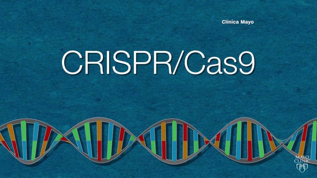 CNNE 657671 - una posible cura para las enfermedades geneticas