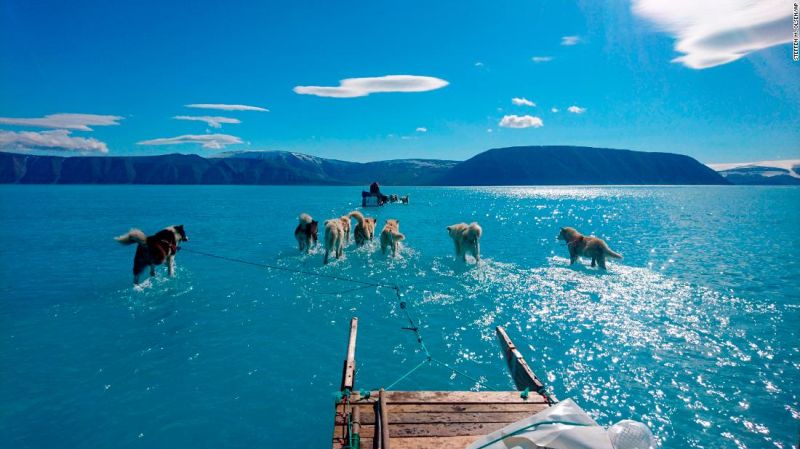 Groenlandia: la increíble foto de unos perros jalando un trineo con las patas bajo el agua muestra lo grave del derretimiento de la capa de hielo | cnn
