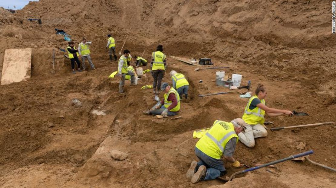 Dinosaur dig in Littleton, CO