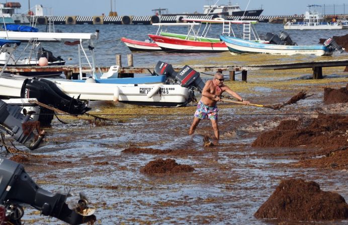 Los residentes también retiran las pilas de sargazo, antes de que se descompongan y comiencen a desprender su fuerte olor. (Foto: Rodrigo Arangua/AFP/Getty Images).