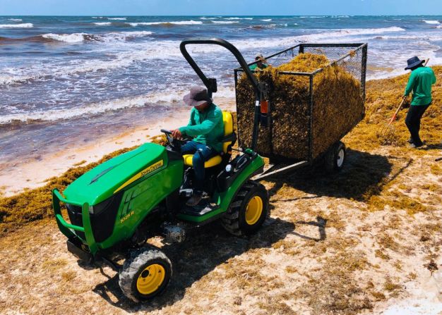 Trabajadores levantan los kilos de sargazo en una playa de Tulum el 24 de mayo de 2019.