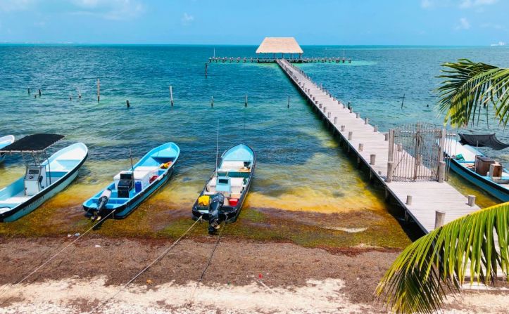 Sargazo en la playa de Puerto Marbella en el estado de Quintana Roo, cerca a Cancún.