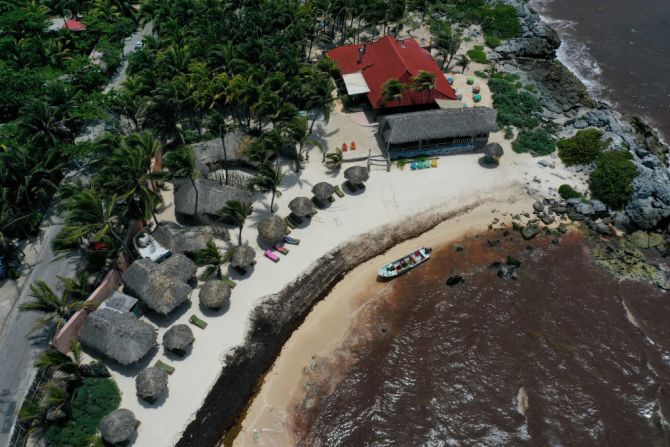 Así se ve desde arriba la ola de sargazo que se ha tomado las playas del Caribe mexicano.