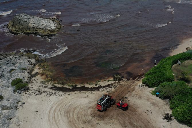 Así se ve desde arriba la ola de sargazo que se ha tomado las playas del Caribe mexicano.