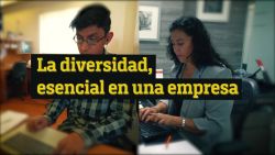 CNNE 665733 - la importancia de la diversidad de los empleados en una empresa