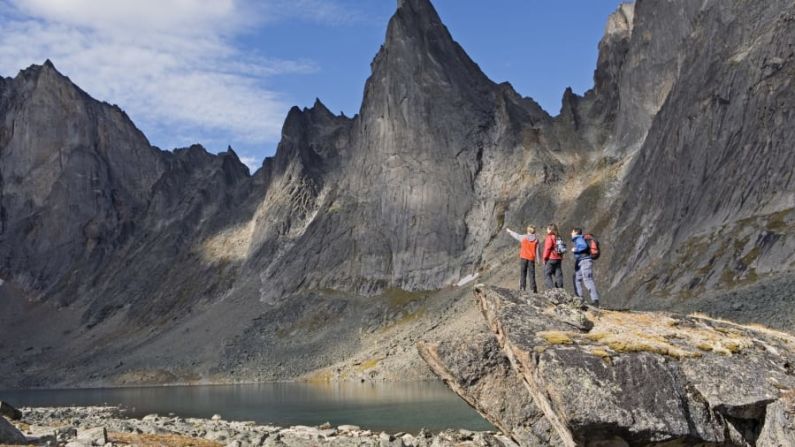 Tombstone Territorial Park: este parque, ubicado a 90 minutos de Dawson City, está lleno de picos a los que subir y vida silvestre.