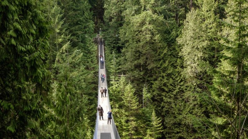 Puente colgante de Capilano: El puente colgante de Capilano, en la Columbia Británica, está a solo unos minutos del centro de la ciudad de Vancouver. Construido en 1889, se extiende a lo largo de 137 metros y 70 metros sobre el río Capilano.