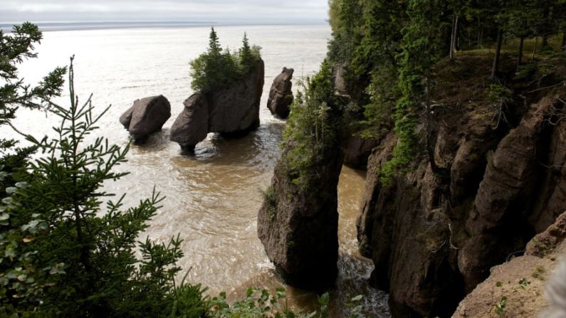 Hopewell Rocks en la Bahía de Fundy: la Bahía de Fundy en el Océano Atlántico es el hogar de las mareas más altas del mundo. Como resultado, las increíbles rocas erosionadas de Hopewell se cubren de agua dos veces al día.