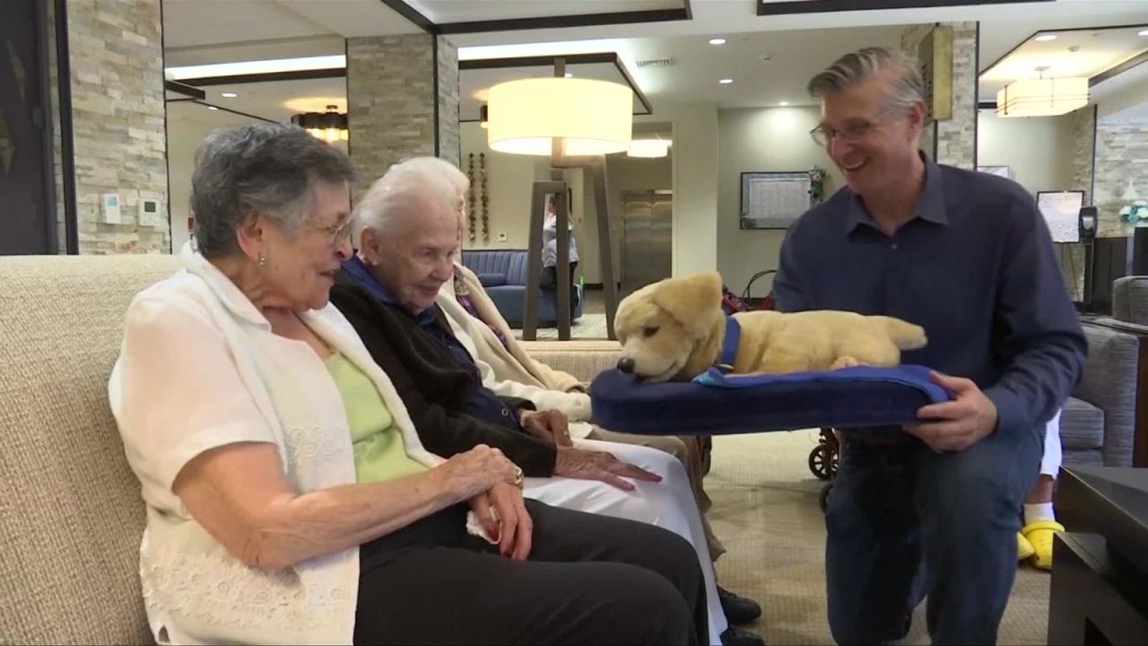 CNNE 668284 - el nuevo mejor amigo de pacientes de alzheimer