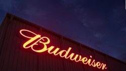 CNNE 672242 - anheuser-busch inbev cancela su oferta publica inicial