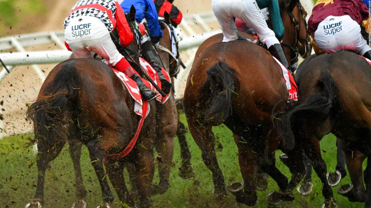 CNNE 676489 - nueva york- doce caballos de carreras mueren en julio