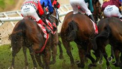 CNNE 676489 - nueva york- doce caballos de carreras mueren en julio