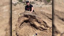 CNNE 677864 - ee-uu-- hallan craneo de dinosaurio de hace 65 millones de anos