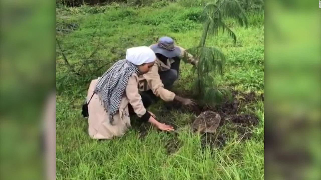 CNNE 679988 - plantan 353 millones de arboles en etiopia en solo 12 horas