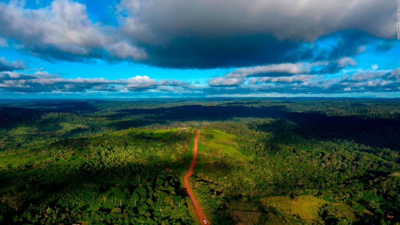 CNNE 681990 - ¿cual sera el futuro de la selva amazonica en brasil?