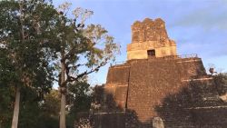 CNNE 683030 - las ruinas mayas de tikal, en guatemala, sorprenden tanto a los visitantes como a la comunidad cientifica