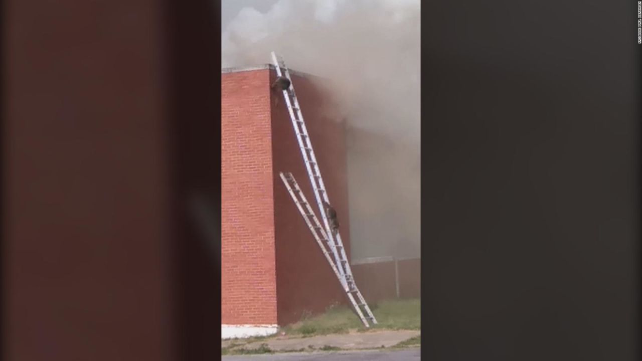 CNNE 684004 - bomberos salvan a 2 mapaches de las llamas