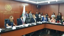 CNNE 684420 - congreso mexicano condeno tiroteos en ee-uu-