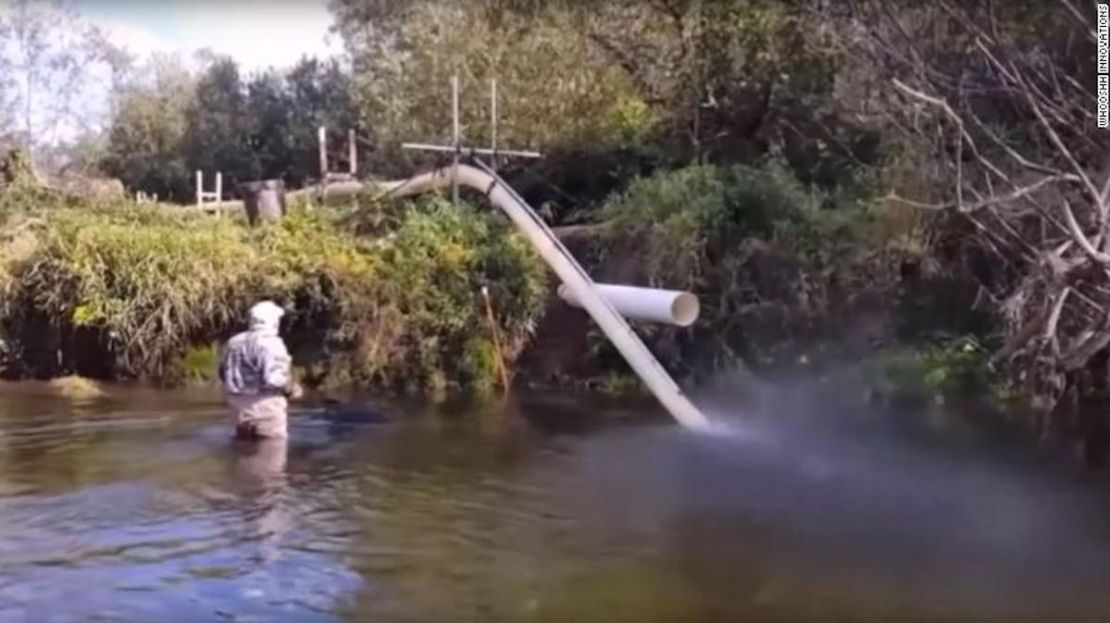 Los salmones nadan en el tubo, que los expulsa a unos 35 kilómetros por hora sobre una presa.