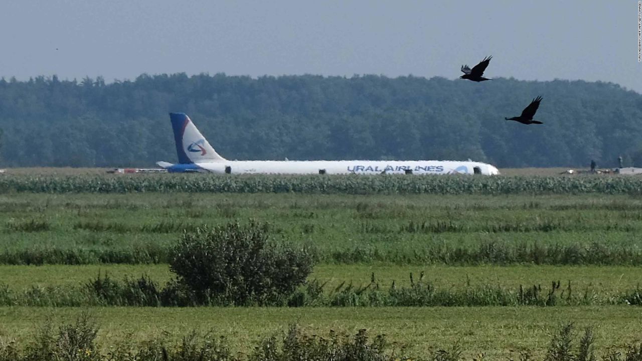 CNNE 688389 - bandada de pajaros provoca aterrizaje de emergencia