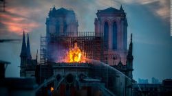 CNNE 688662 - notre-dame-paris