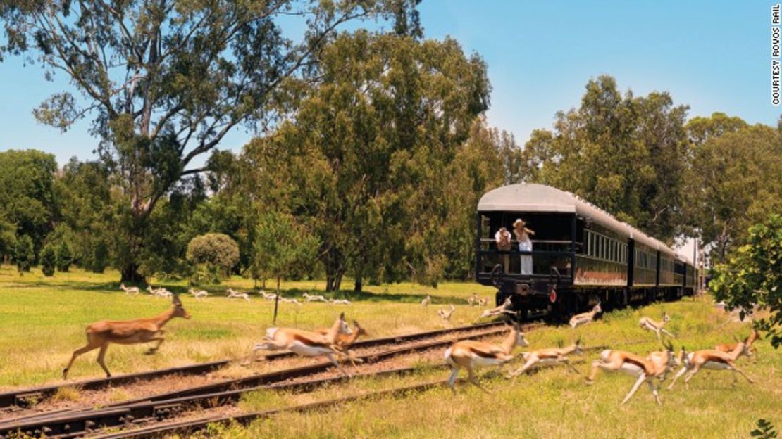 Los pasajeros de Rovos Rail pueden apreciar el espectacular panorama de África... con todo y las grandes bestias.