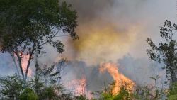 CNNE 691875 - minutocnn- ¿de quien es la culpa de los incendios en la amazonia?