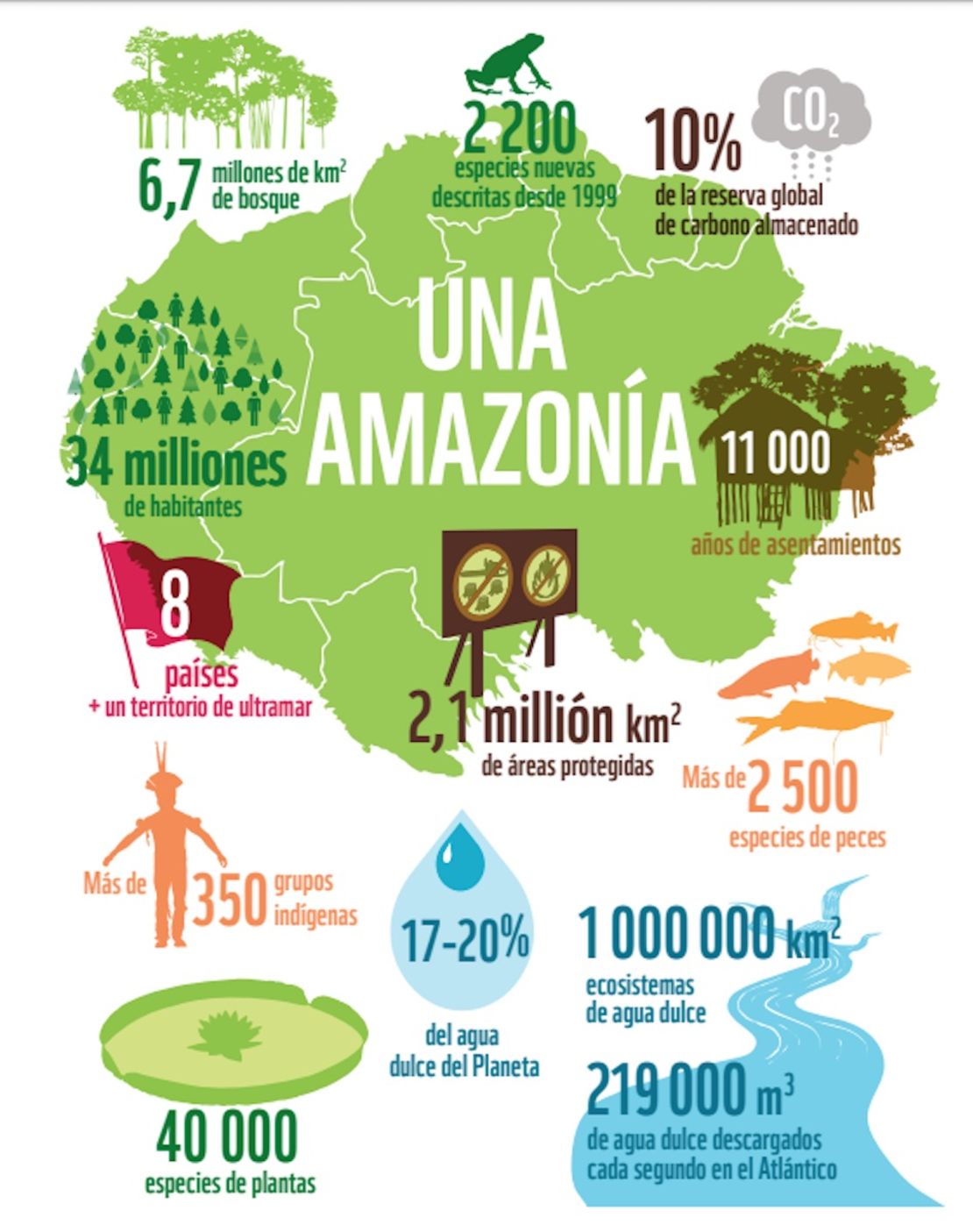 Crédito: Informe Amazonía Viva 2016, WWF.