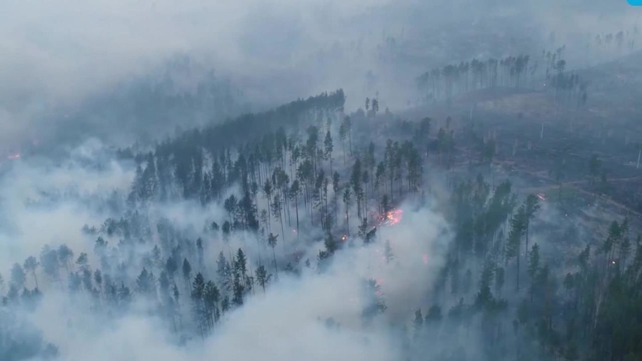 CNNE 692039 - alerta en amazonas y el artico por incendios