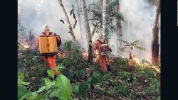 CNNE 692175 - amazonia y la deforestacion como causante de incendios