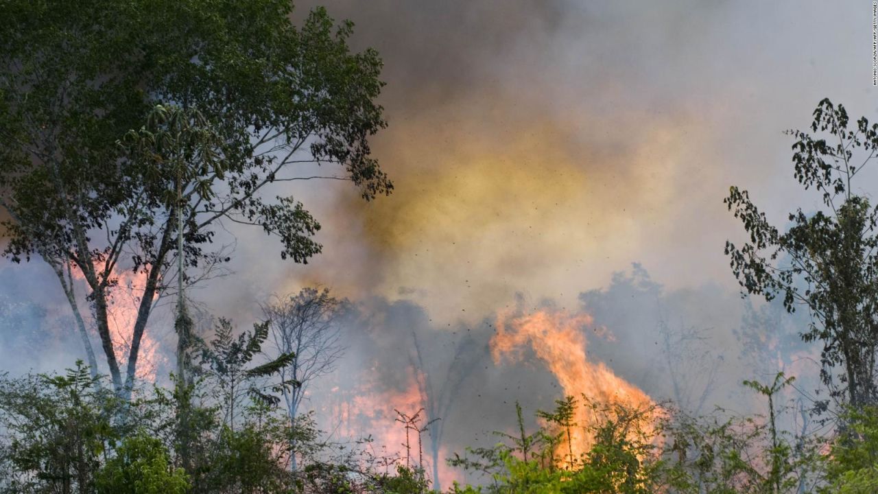 CNNE 693074 - las implicaciones de los incendios en la amazonia
