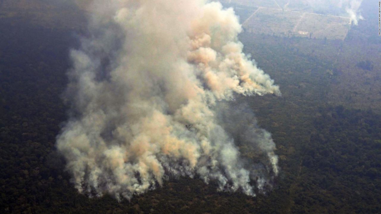 CNNE 693165 - incendios en la selva amazonica encienden las alarmas