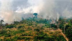 CNNE 693741 - bolsonaro toma accion en el amazonas, ¿esta preparado para combatir incendios?