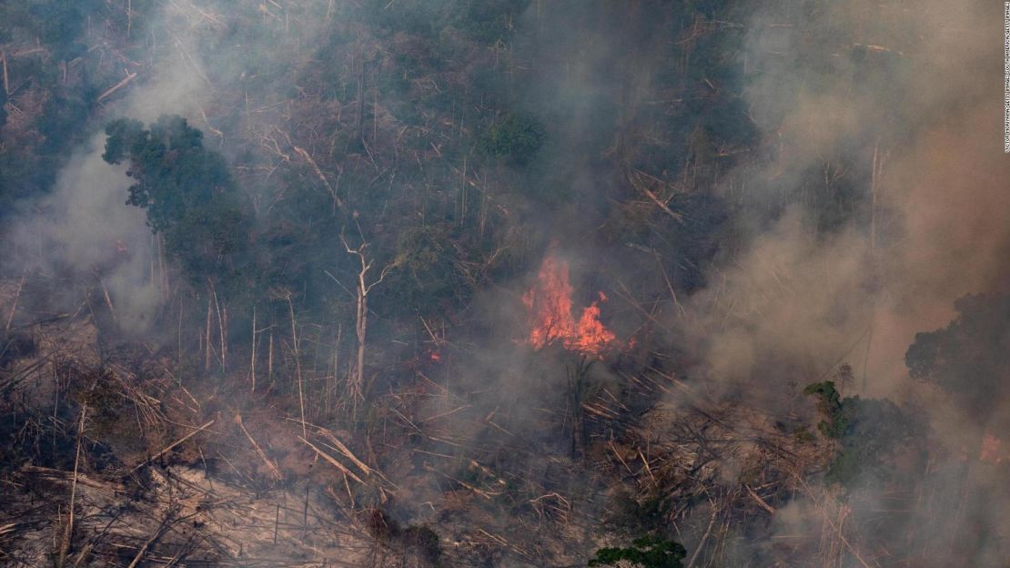 CNNE 693753 - ¿que tres efectos tendrian los incendios en el amazonas?