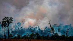 CNNE 694342 - riesgos economicos de la devastacion en el amazonas