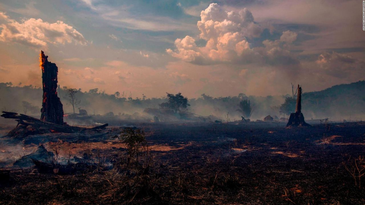 CNNE 694994 - incendios en el amazonas, ¿que repercusiones podrian tener en el cambio climatico?