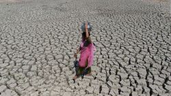 CNNE 695671 - escasez de agua ¿hay alguna forma de dejar de depender de la lluvia?