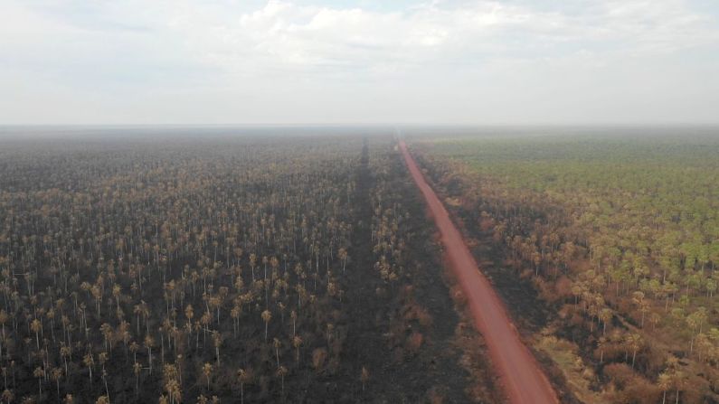 Vista aérea de los daños causados por incendios forestales en el Parque Nacional Otuquis, en la ecorregión del Pantanal de Bolivia, al sureste de la cuenca del Amazonas, este 27 de agosto de 2019. Al igual que su rival de derecha, el presidente Jair Bolsonaro, en el vecino Brasil, el líder de izquierda boliviano Evo Morales se enfrenta a la creciente furia de los grupos ambientalistas por los voraces incendios forestales en su propio país. Si bien los incendios en el Amazonas han atraído la atención mundial, los incendios en Bolivia se han desatado en gran medida durante el último mes, devastando más de 9.500 kilómetros cuadrados (3.600 millas cuadradas) de bosques y praderas.