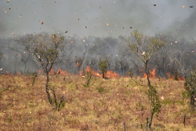 El viento sopla el polvo y las hojas cuando arde un fuego cerca de Charagua en Bolivia, en la frontera con Paraguay, al sur de la cuenca del Amazonas, este 29 de agosto de 2019.