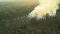 CNNE 698150 - amazonas- estremecedoras imagenes de crimenes ambientales