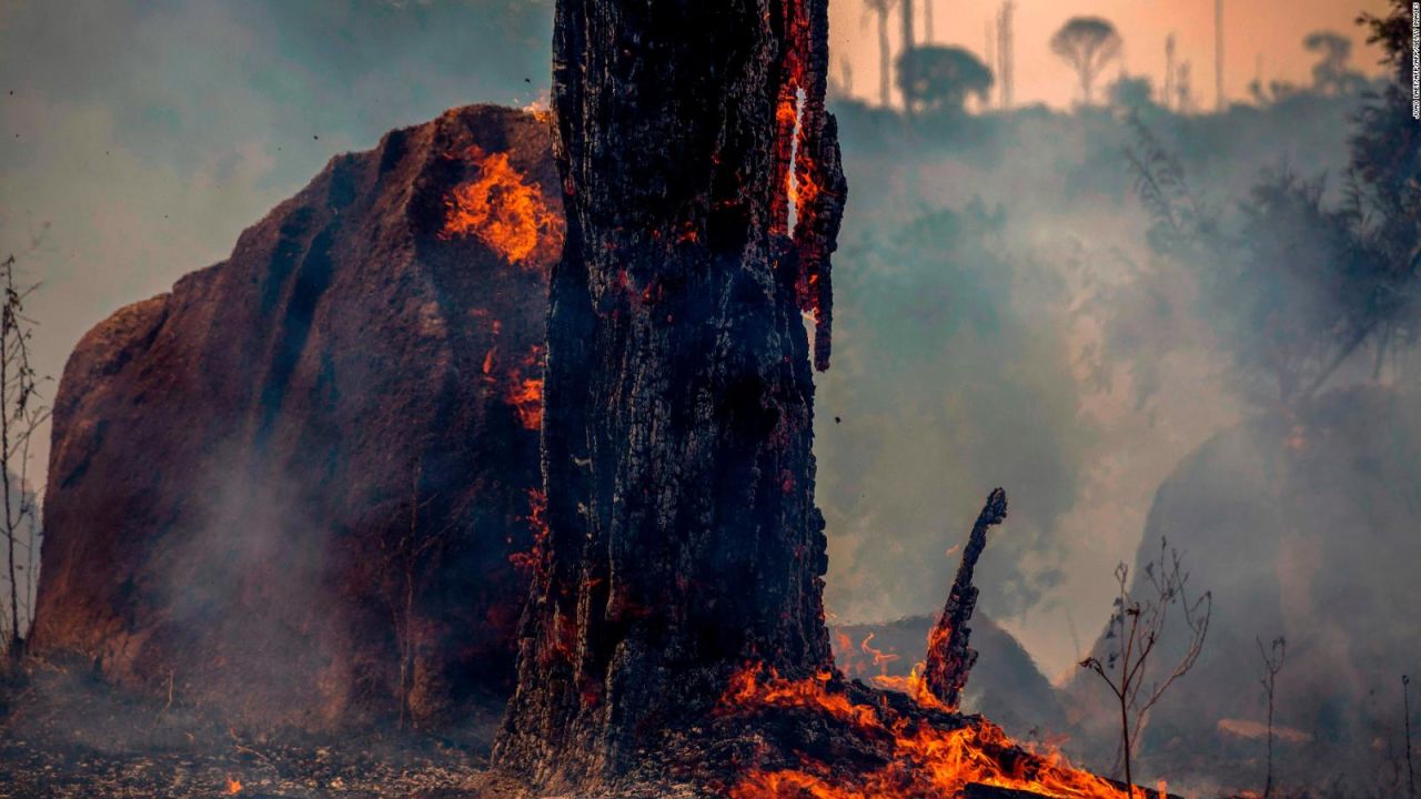 CNNE 698458 - los incendios estan bajo control, canciller de brasil