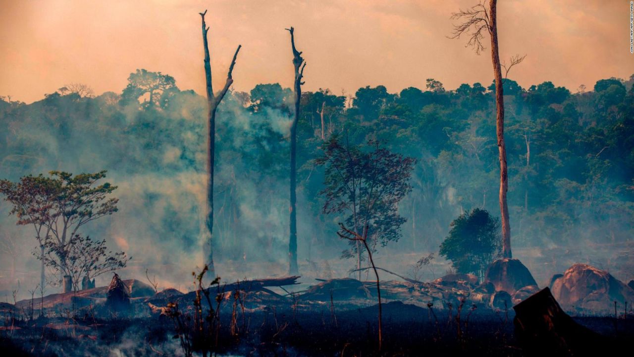 CNNE 698477 - ¿cuanto co2 emiten los incendios forestales en el mundo?